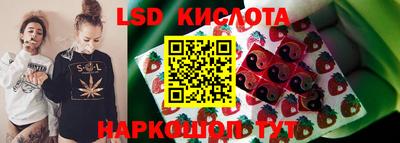 гидра Гатчина