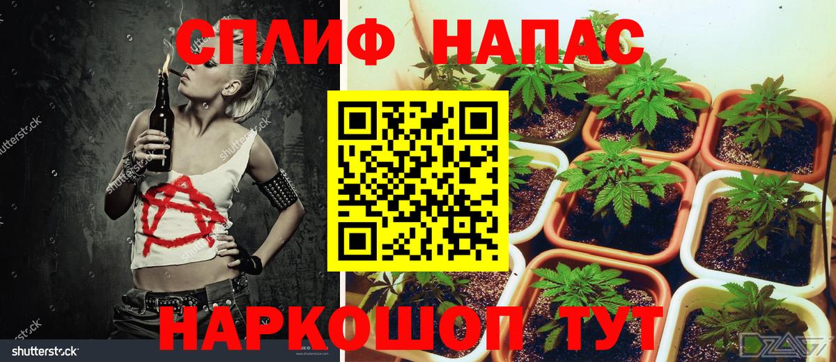 МАРИХУАНА индика Батайск